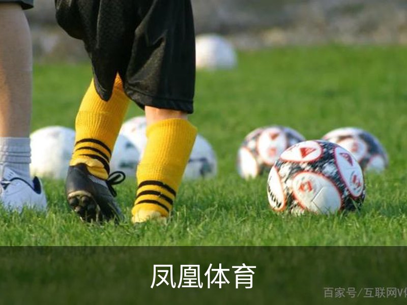 凤凰体育概况